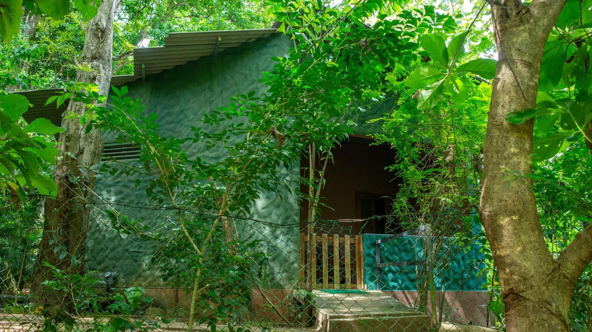 Silent Bungalow Udawalawe Esterno foto