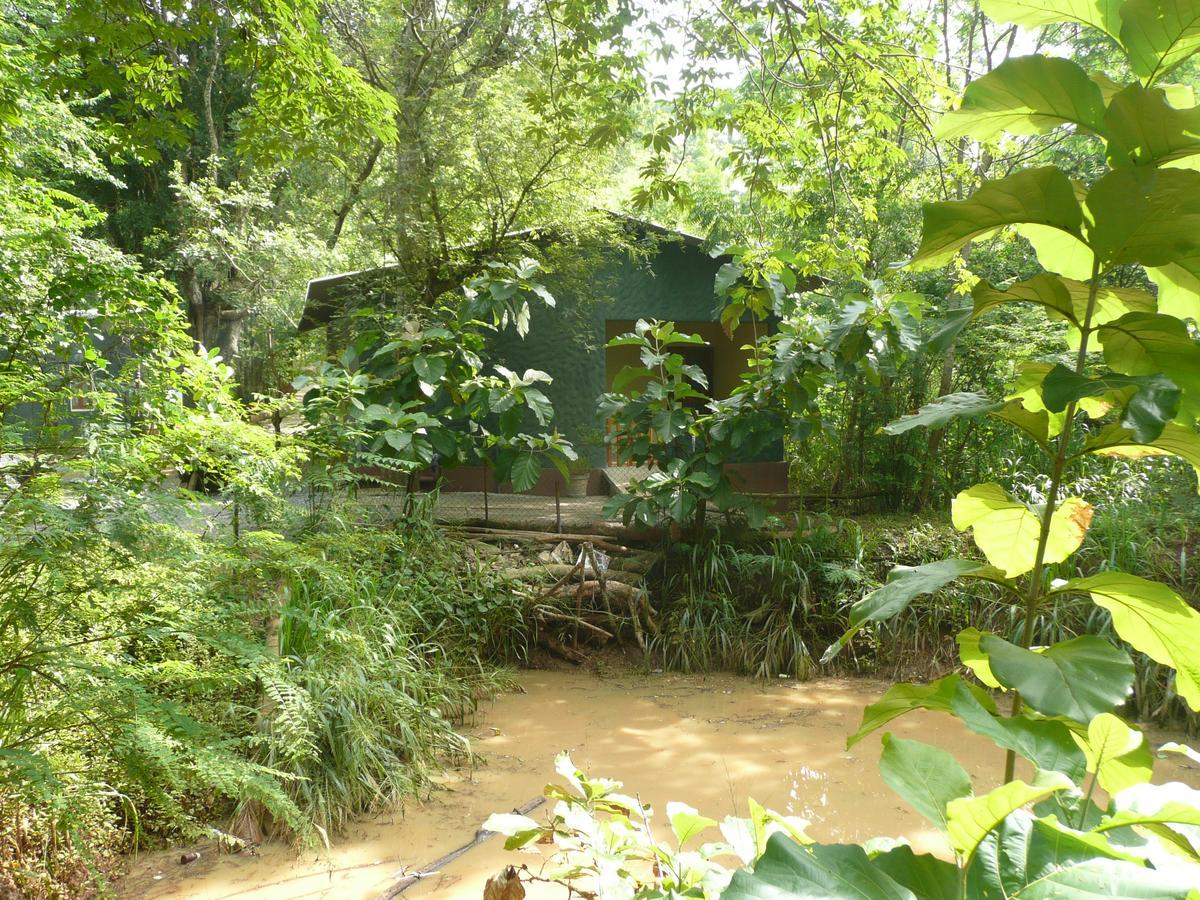 Silent Bungalow Udawalawe Esterno foto
