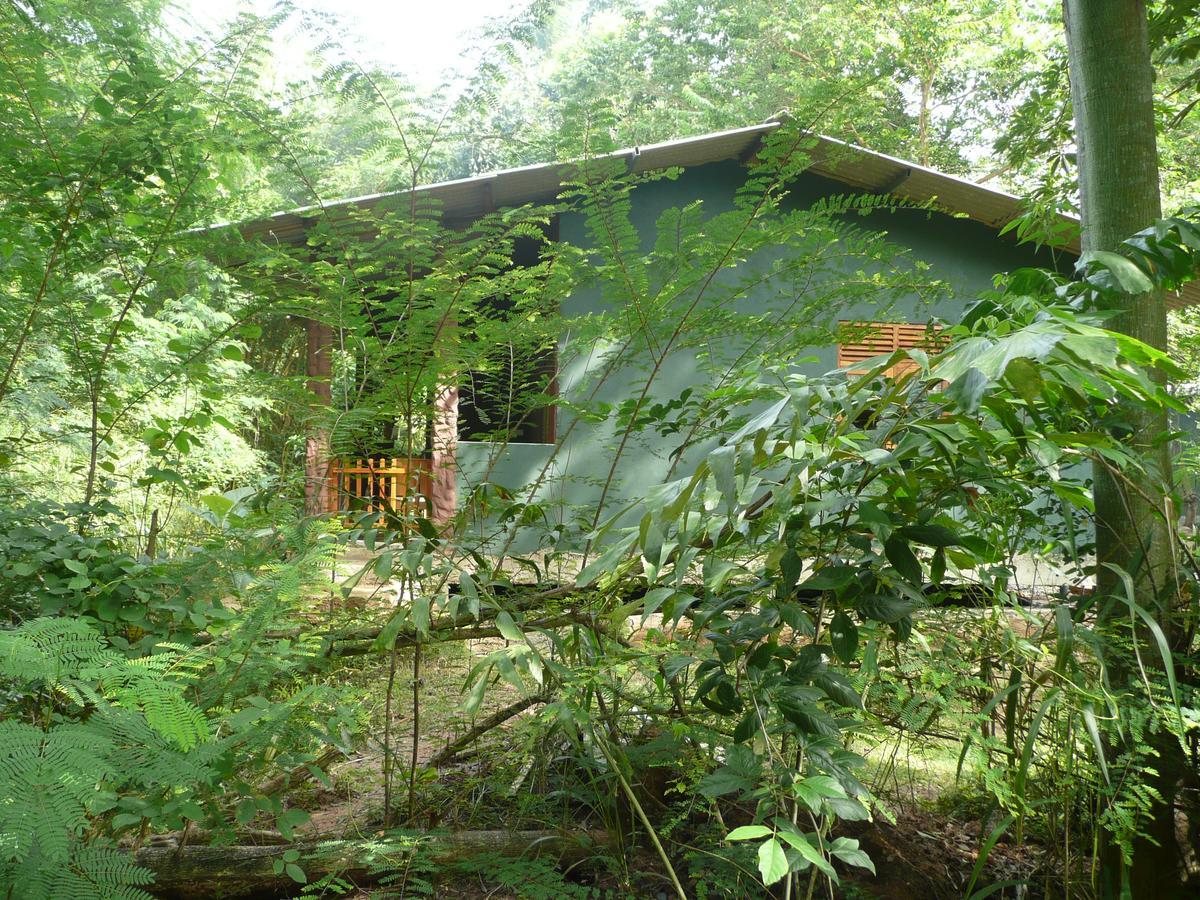 Silent Bungalow Udawalawe Esterno foto